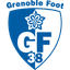 Grenoble 队徽