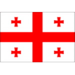 Georgia U19 队徽