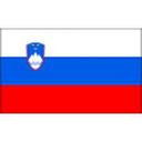 Slovenia U19 队徽