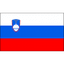 Slovenia U19 队徽