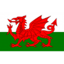 Wales U19 队徽