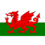 Wales U19 队徽