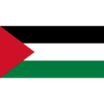 Palestine U23 队徽
