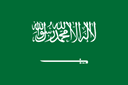 Saudi Arabia U23 队徽