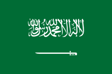 Saudi Arabia U23 队徽
