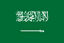Saudi Arabia U23 队徽