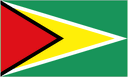Guyana U20 队徽