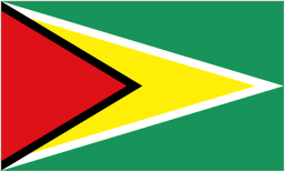 Guyana U20 队徽