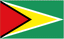 Guyana U20 队徽