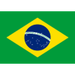 Brazil U17 队徽