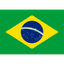 Brazil U17 队徽