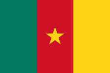 Cameroon U17 队徽