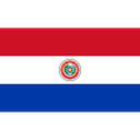 Paraguay U17 队徽
