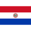 Paraguay U17 队徽