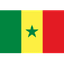 Senegal U17 队徽