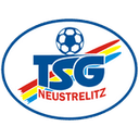 Neustrelitz 队徽