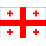 Georgia U17 队徽