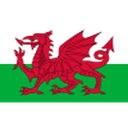 Wales U17 队徽