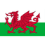 Wales U17 队徽