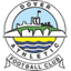 Dover 队徽