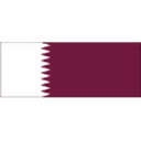 Qatar U17 队徽