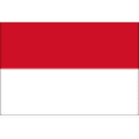 Indonesia U17 队徽