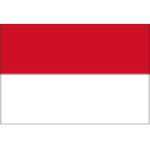 Indonesia U17 队徽