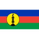New Caledonia U17 队徽