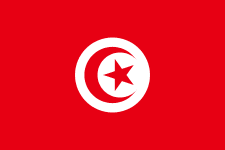 Tunisia U17 队徽