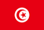 Tunisia U17 队徽