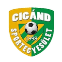 Cigand SE 队徽