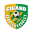 Cigand SE 队徽