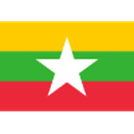 Myanmar U17 队徽