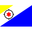 Bonaire U20 队徽