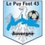 Le Puy Foot 队徽