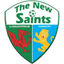 The New Saints 队徽