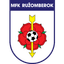Ružomberok 队徽