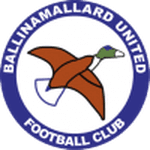 Ballinamallard United 队徽