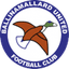 Ballinamallard United 队徽