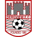 Dergview 队徽