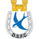 Dungannon Swifts 队徽