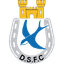 Dungannon Swifts 队徽
