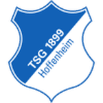 Hoffenheim II 队徽