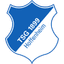 Hoffenheim II 队徽
